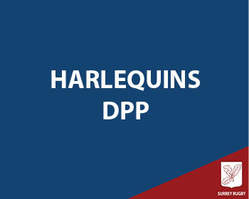 Harlequins DPP
