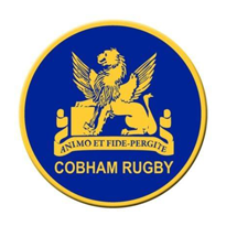 Cobham RFC - Mini's Section